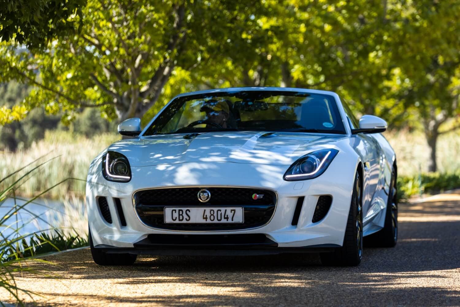 Jaguar F-Type S Convertible